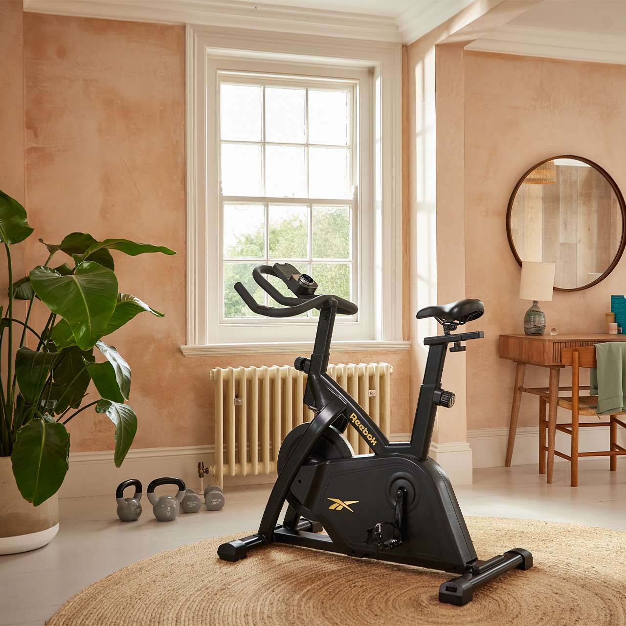 Reebok FR30 Sprinter Bike