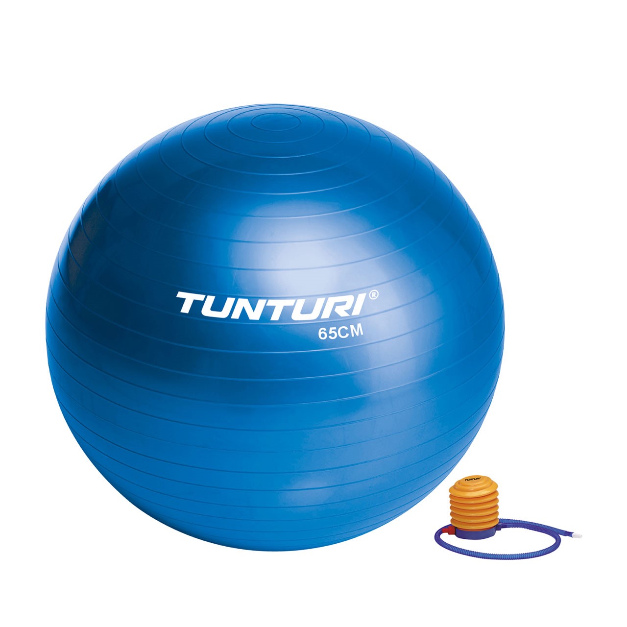 Tunturi Gym Ball 65 cm